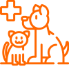 Pet Care